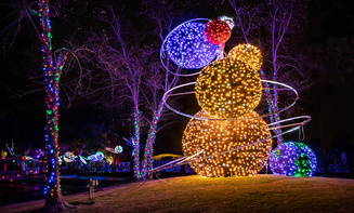 Affordable holiday lights limo rental in Downtown Denver, CO